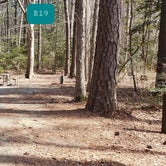 Review photo of Martinak State Park Campground by Jean C., July 30, 2021