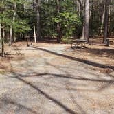 Review photo of Martinak State Park Campground by Jean C., July 30, 2021