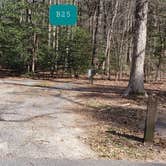 Review photo of Martinak State Park Campground by Jean C., July 30, 2021