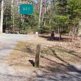 Review photo of Martinak State Park Campground by Jean C., July 30, 2021