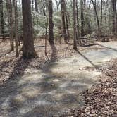 Review photo of Martinak State Park Campground by Jean C., July 30, 2021