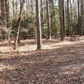 Review photo of Martinak State Park Campground by Jean C., July 30, 2021