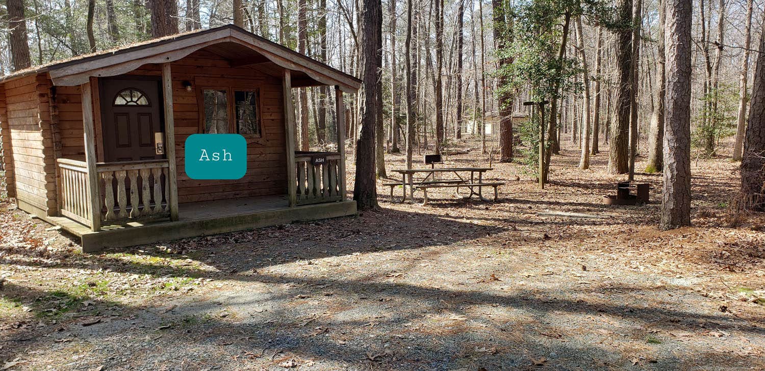 Jean C.'s photo of glamping accommodations at Martinak State Park Campground near Glen Burnie, MD