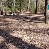 Review photo of Martinak State Park Campground by Jean C., July 30, 2021