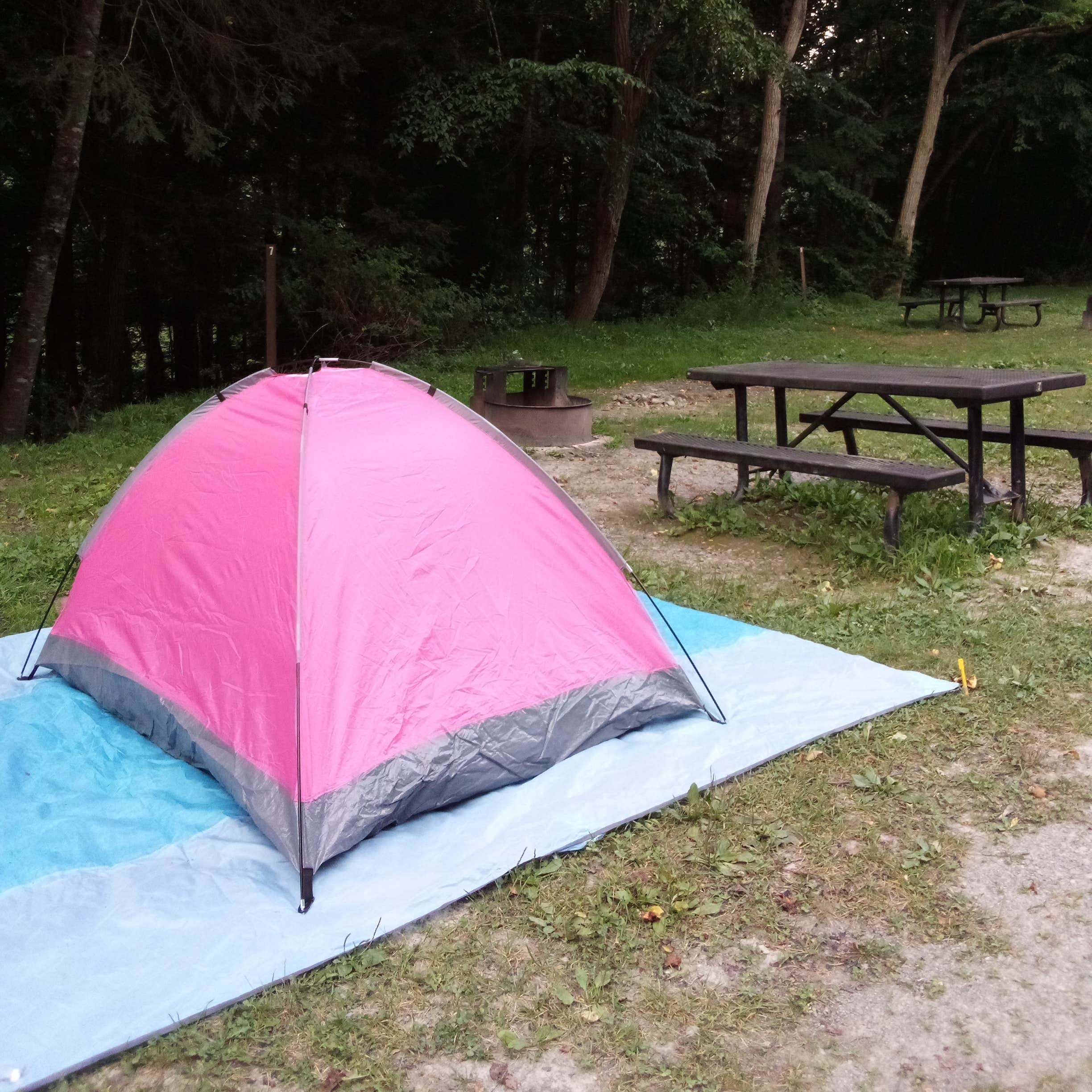 Gauley Tailwaters Campground — Gauley River National Recreation Area Summersville, WV