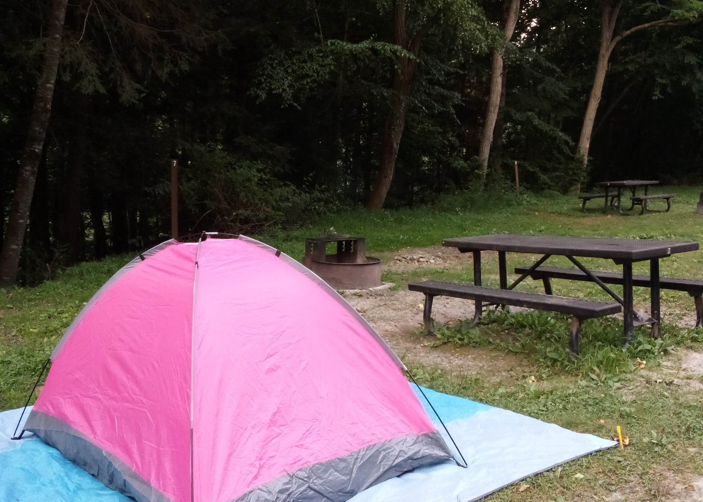 Gauley Tailwaters Campground Camping The Dyrt