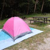 Review photo of Gauley Tailwaters Campground — Gauley River National Recreation Area by Mary B., July 30, 2021