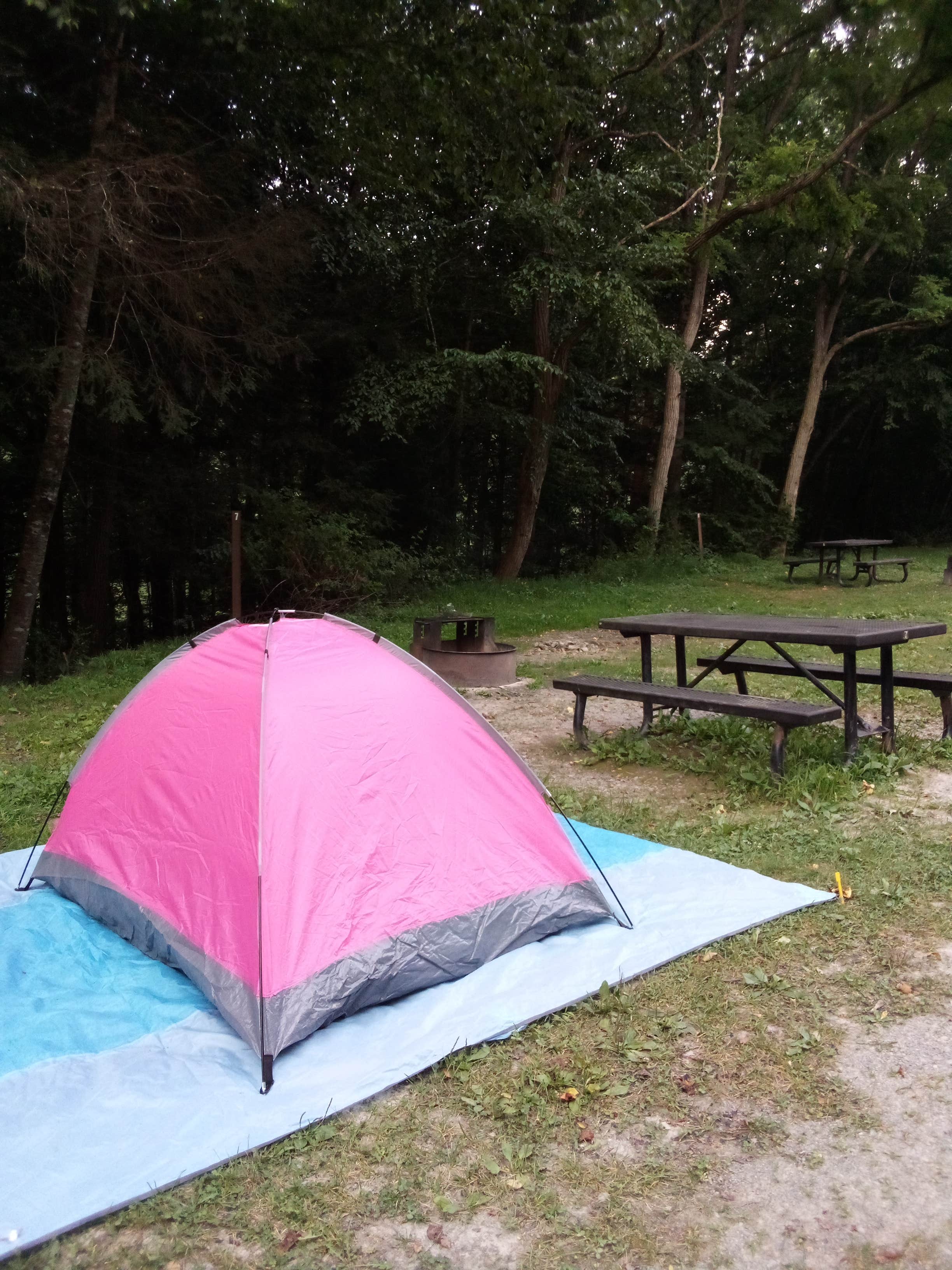 Camper submitted image from Gauley Tailwaters Campground — Gauley River National Recreation Area - 1