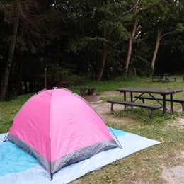 Gauley Tailwaters Campground — Gauley River National Recreation Area