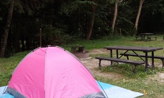 Camping near Tawney Farm: Gauley Tailwaters Campground — Gauley River National Recreation Area, Summersville Lake, West Virginia