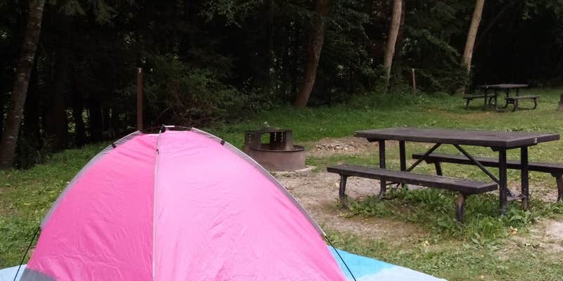 Camper submitted image from Gauley Tailwaters Campground — Gauley River National Recreation Area
