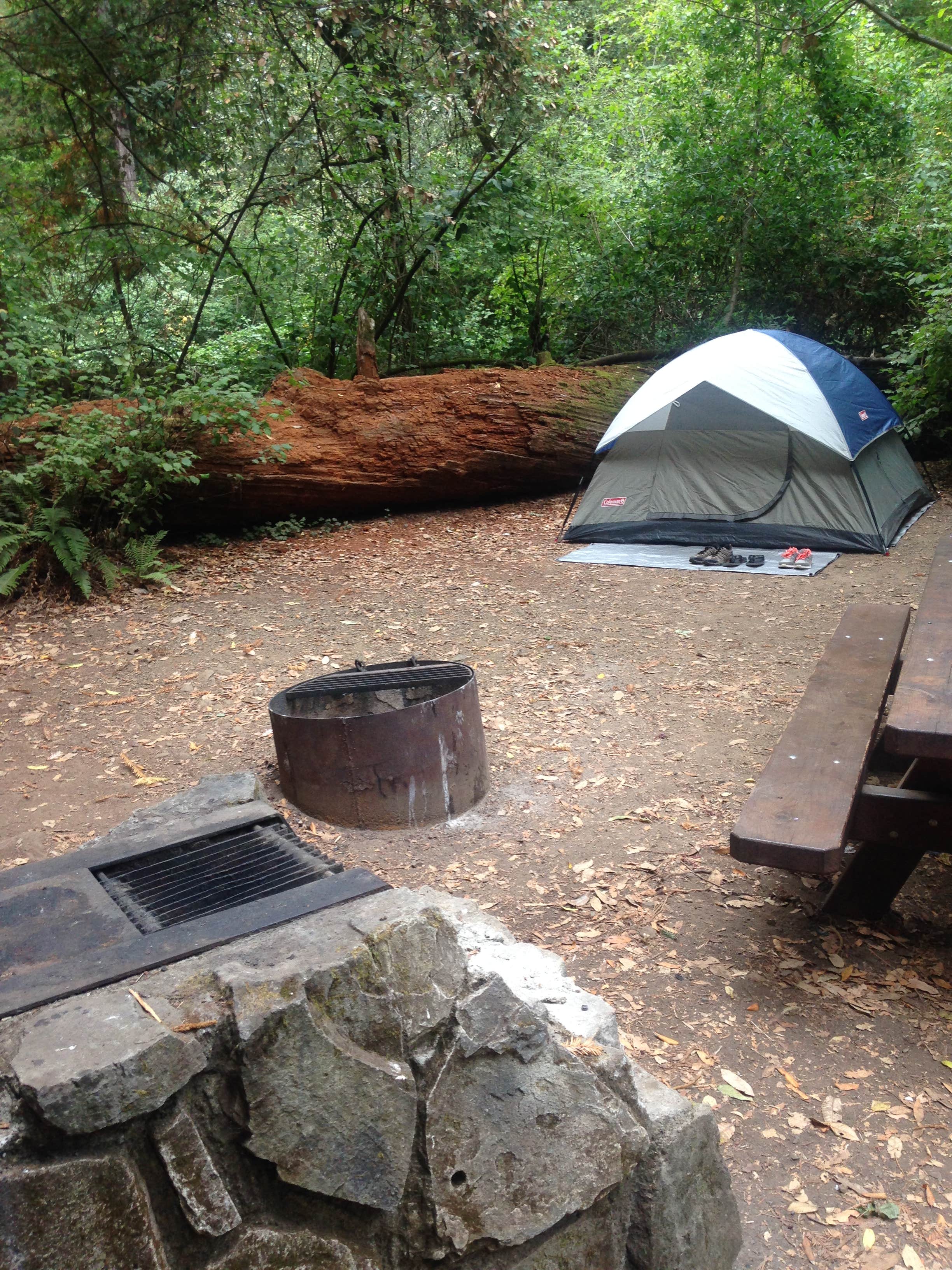 Crystal D.'s photo at Samuel P. Taylor State Park Campground near Ross, CA