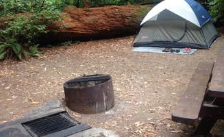 Crystal D.'s photo at Samuel P. Taylor State Park Campground near Golden Gate National Recreation Area