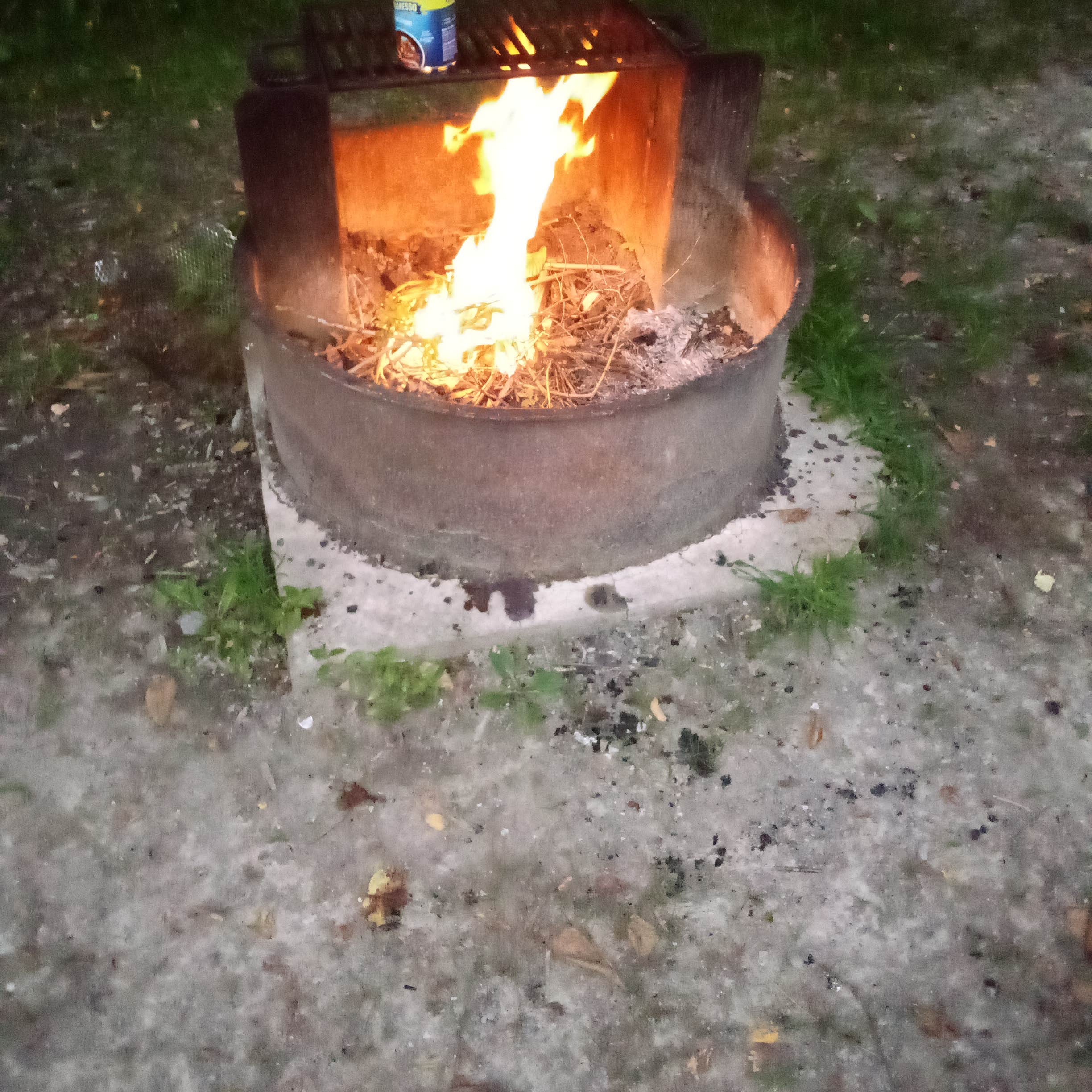 Gauley Tailwaters Campground Camping The Dyrt