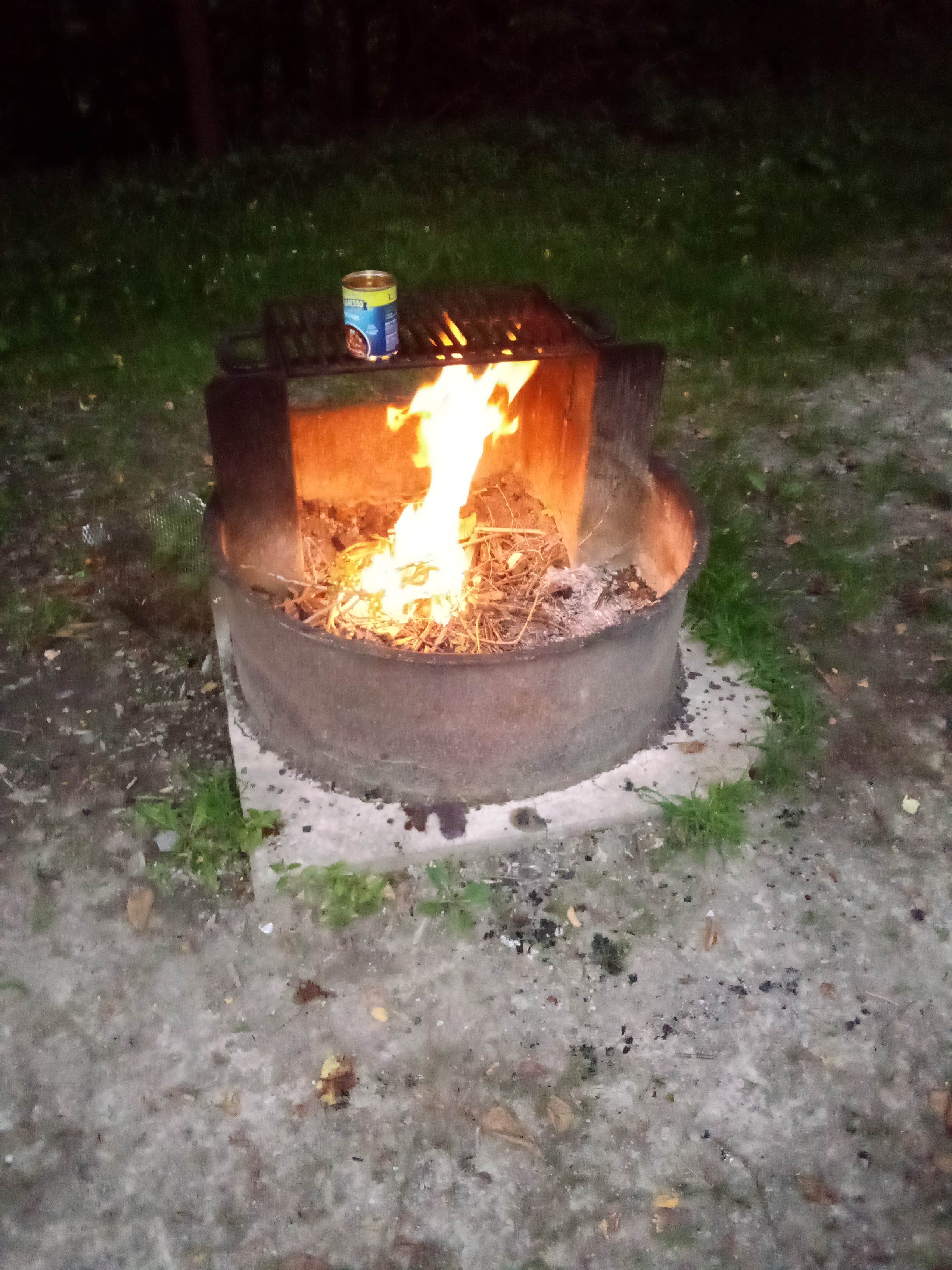 Gauley Tailwaters Campground — Gauley River National Recreation Area