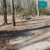 Review photo of Martinak State Park Campground by Jean C., July 30, 2021