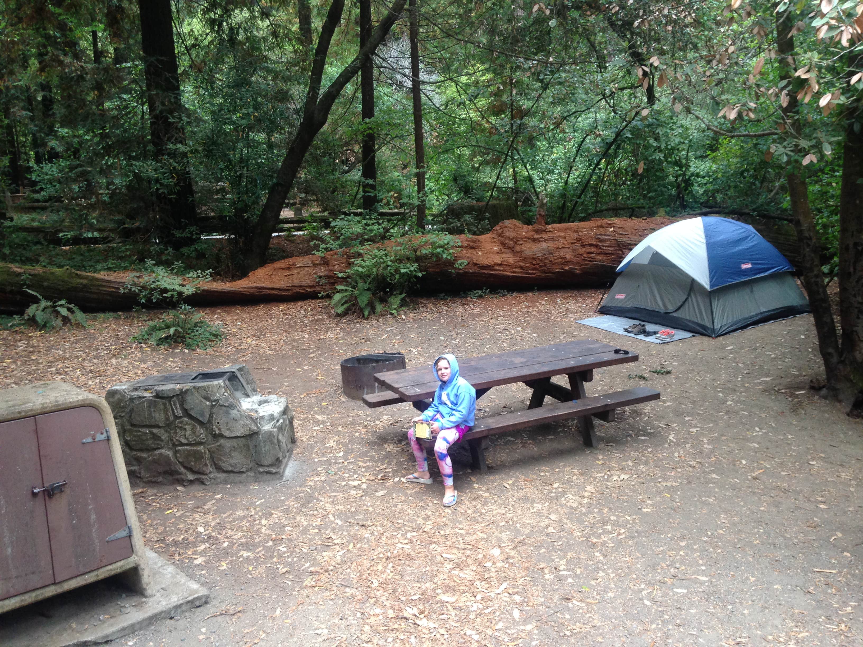 Camper submitted image from Samuel P. Taylor State Park Campground - 4