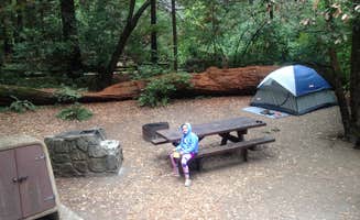 Crystal D.'s photo at Samuel P. Taylor State Park Campground near Marshall, CA