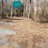 Review photo of Martinak State Park Campground by Jean C., July 30, 2021