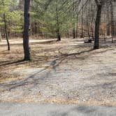 Review photo of Martinak State Park Campground by Jean C., July 30, 2021