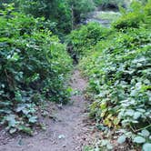 Review photo of Peltier Bridge Primitive Campground — Whiskeytown-Shasta-Trinity National Recreation Area by valerie T., July 30, 2021