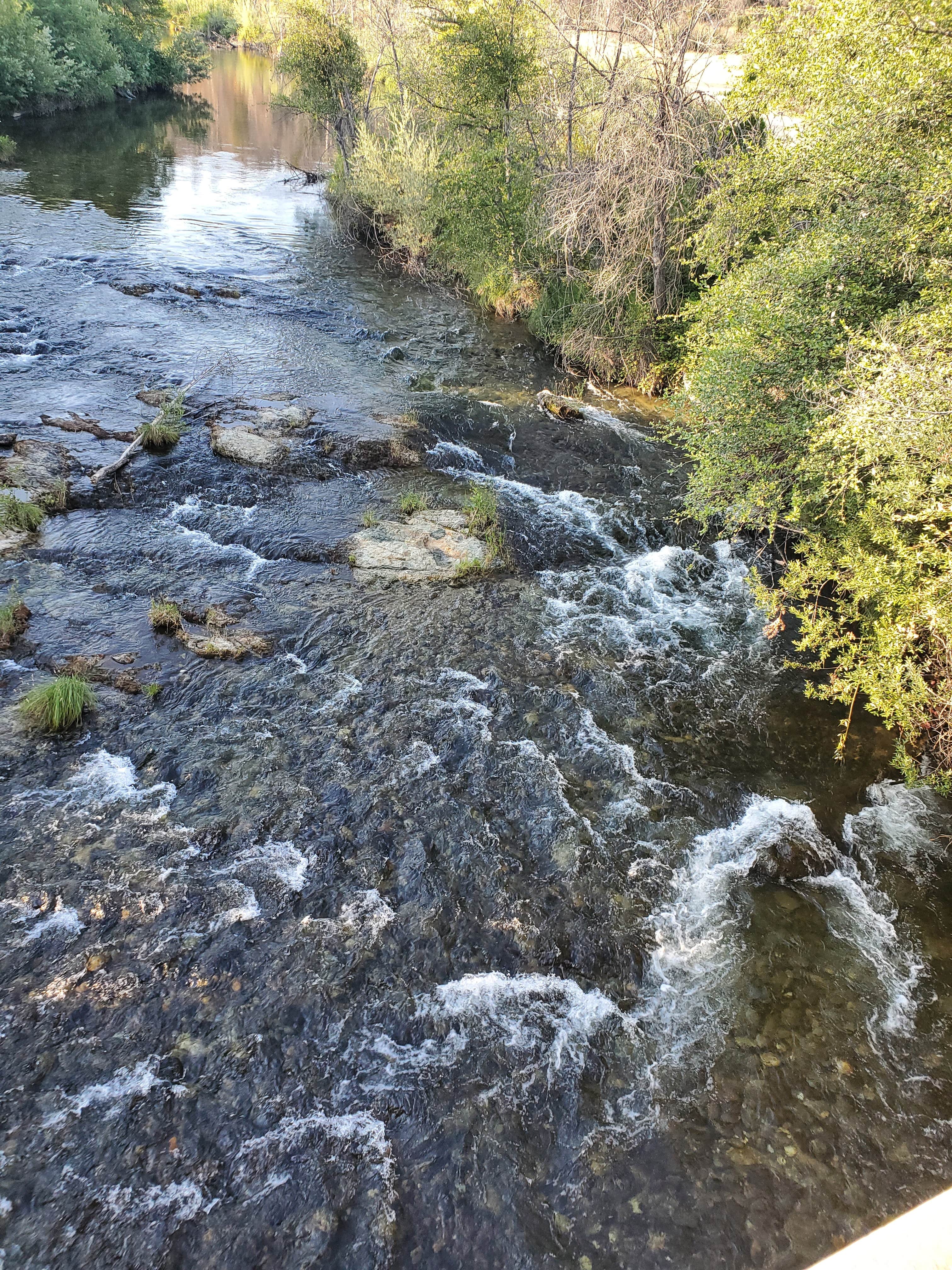 Camper submitted image from Peltier Bridge Primitive Campground — Whiskeytown-Shasta-Trinity National Recreation Area - 4