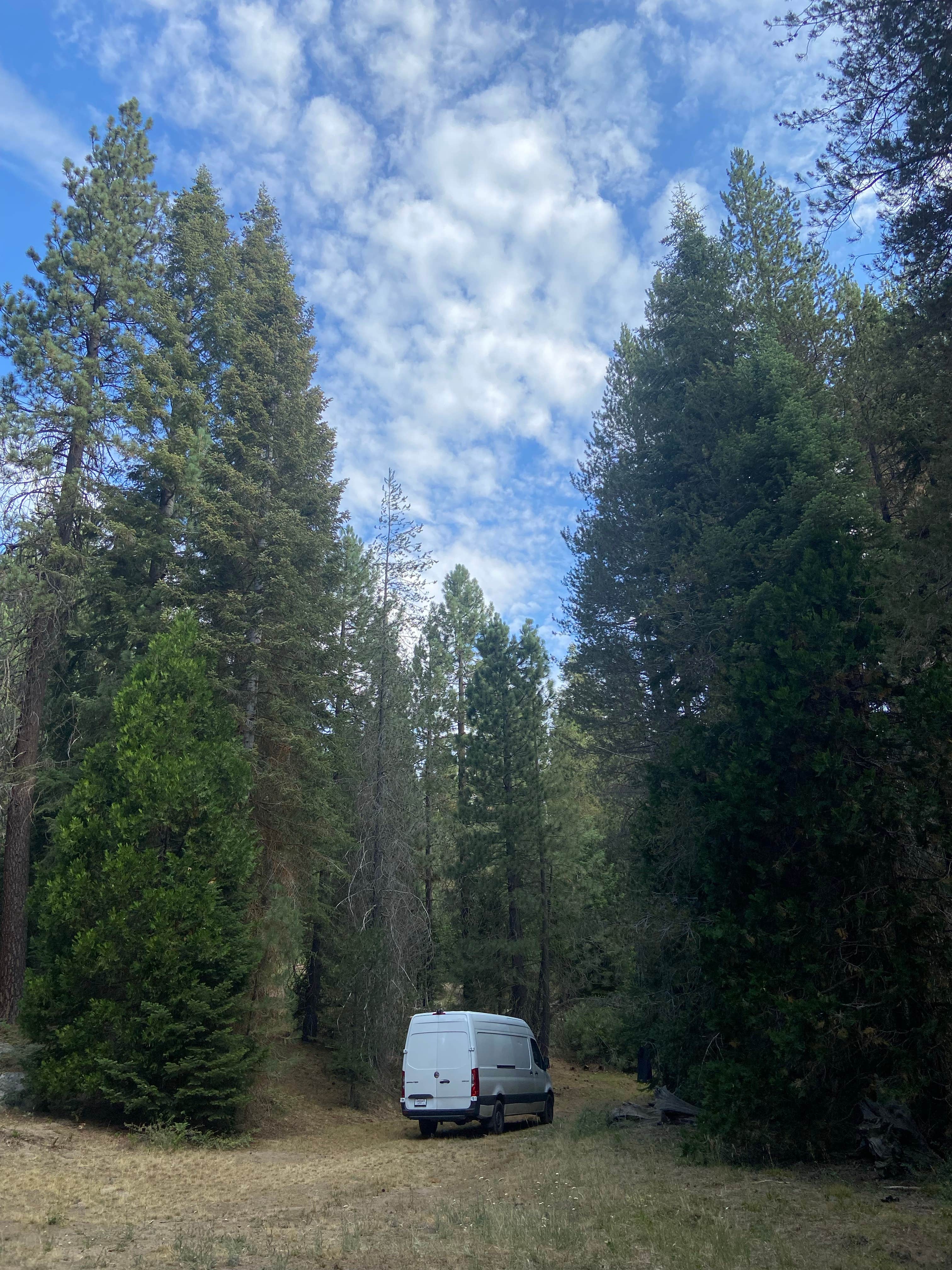 Danielle B.'s photo of rv camping at Dispersed Camp near Sequoia National Park near Kernville, CA