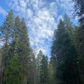 Review photo of Dispersed Camp near Sequoia National Park by Danielle B., July 30, 2021