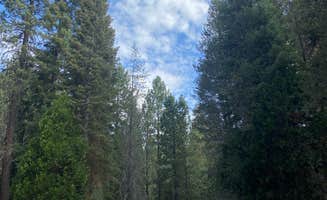 Danielle B.'s photo of rv camping at Dispersed Camp near Sequoia National Park near Johnsondale, CA
