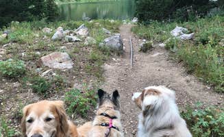 Jenn's photo of camping with pets at Tony Grove Campground near Paradise, UT