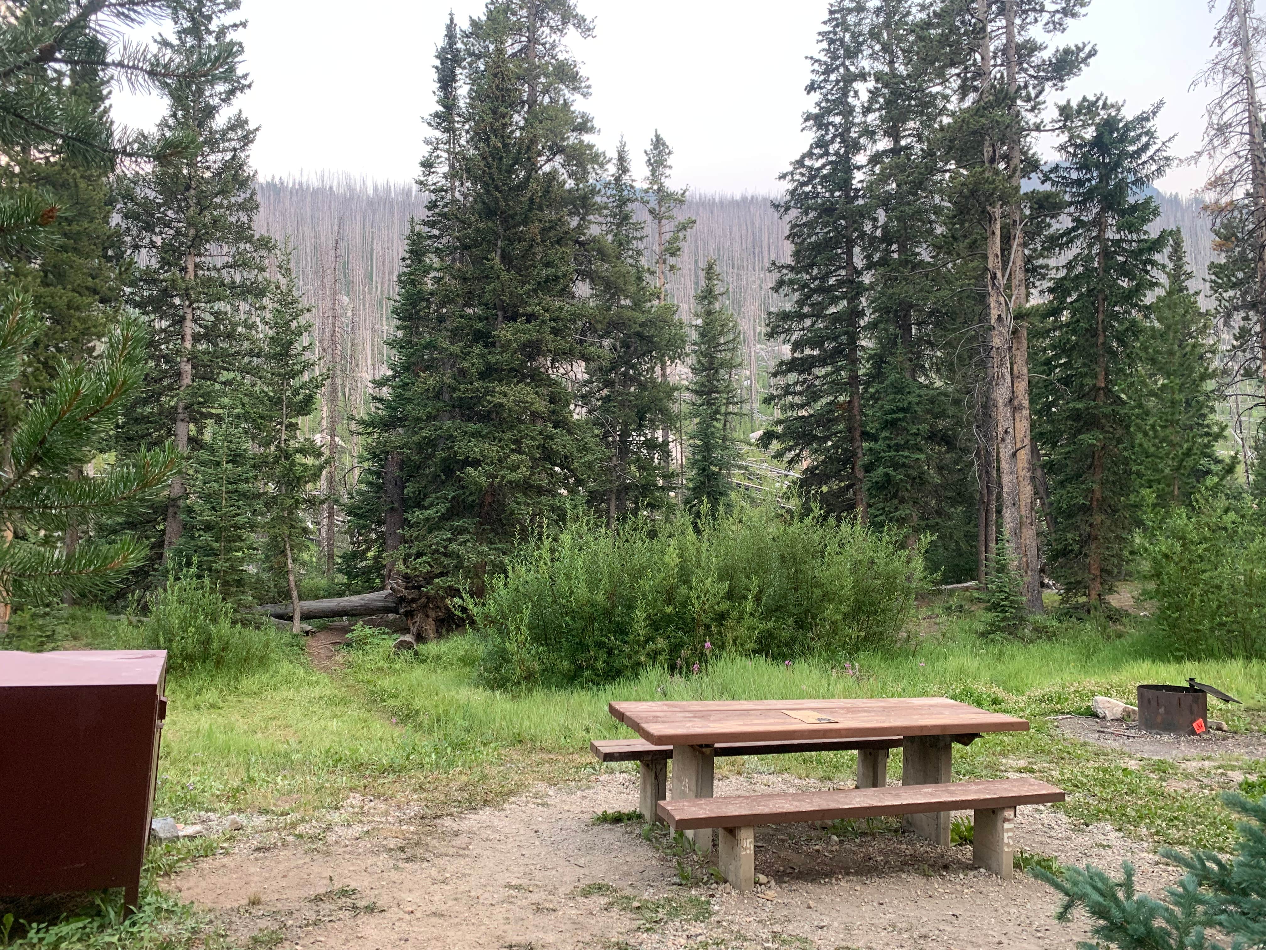 Best camping near Powell, Wyoming The Dyrt