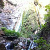 Review photo of Limekiln State Park Campground — TEMPORARILY CLOSED by Crystal D., June 17, 2018