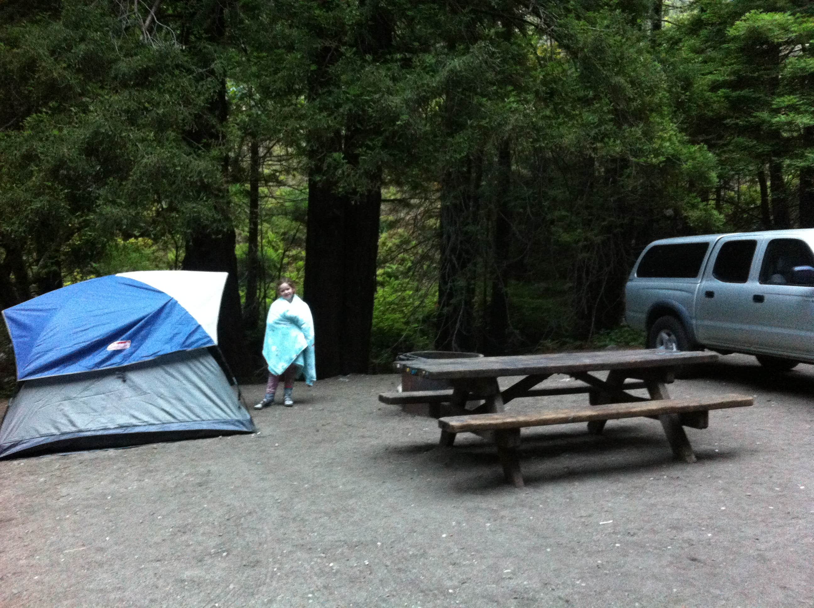 Camper submitted image from Limekiln State Park Campground — TEMPORARILY CLOSED - 4