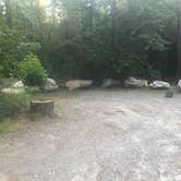 Review photo of Brown Mountain Roadside Campsites by Hannah L., July 30, 2021