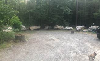 Hannah L.'s photo of camping with pets at Brown Mountain Roadside Campsites near Granite Falls, NC