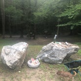 Review photo of Brown Mountain Roadside Campsites by Hannah L., July 30, 2021