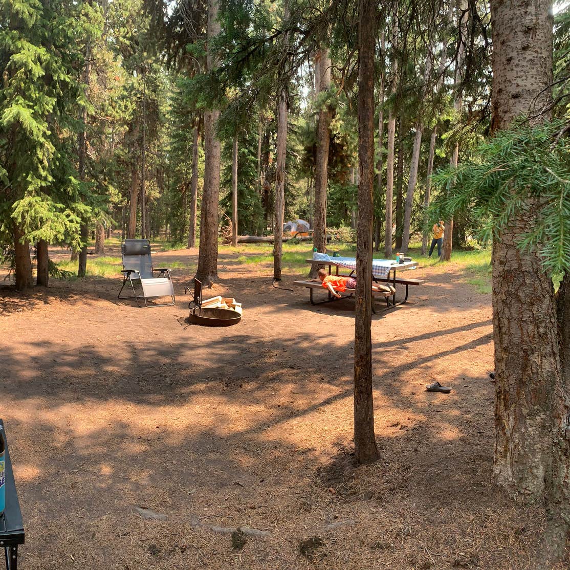 Best camping in Yellowstone National Park The Dyrt