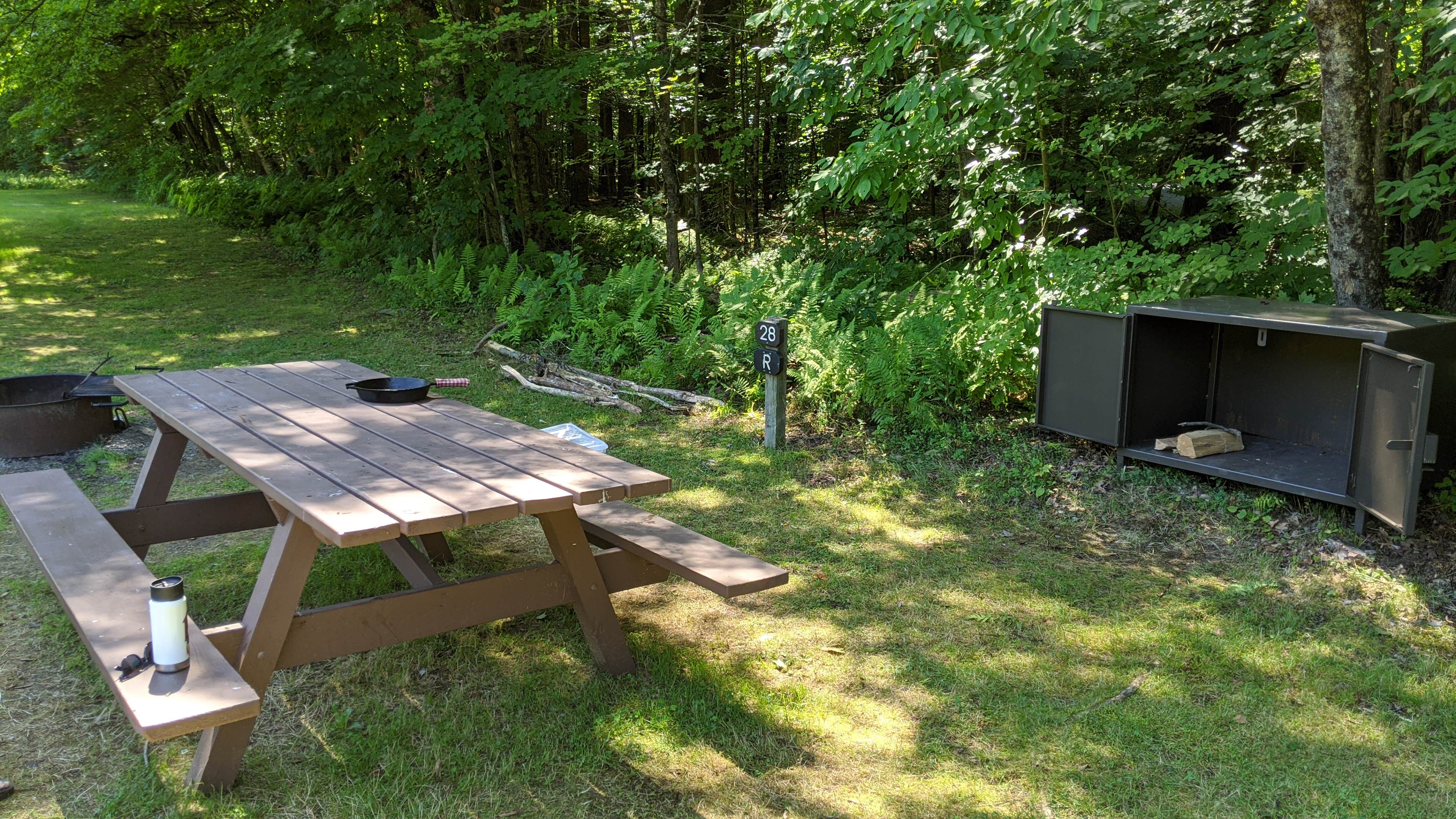 Camper-submitted photo at Pittsfield State Forest Campground near West Stockbridge, MA