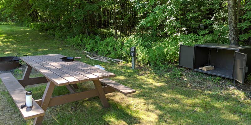 Camper submitted image from Pittsfield State Forest Campground