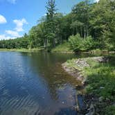 Review photo of Pittsfield State Forest by Drew Q., July 30, 2021