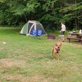 Review photo of Pittsfield State Forest by Drew Q., July 30, 2021