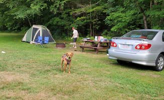 Drew Q.'s photo at Pittsfield State Forest Campground near Tanglewood, MA