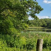 Review photo of Pittsfield State Forest by Drew Q., July 30, 2021