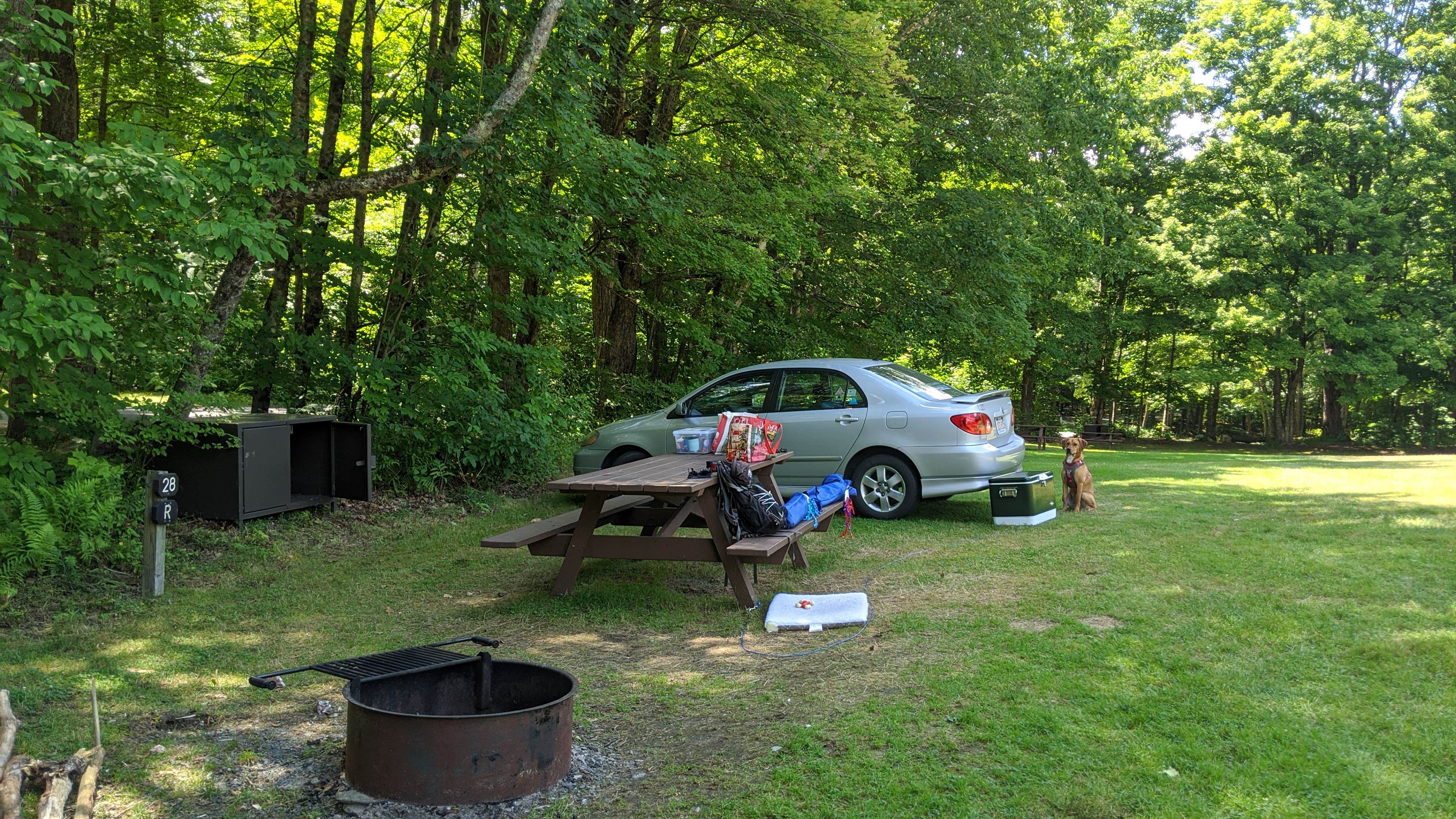 Drew Q.'s photo at Pittsfield State Forest Campground near Lenox, MA