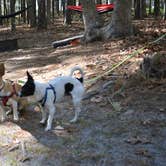 Review photo of Nickerson State Park Campground by Drew Q., July 30, 2021