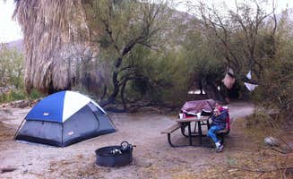 Crystal D.'s photo at Agua Caliente County Park Campground near Ocotillo Wells, CA