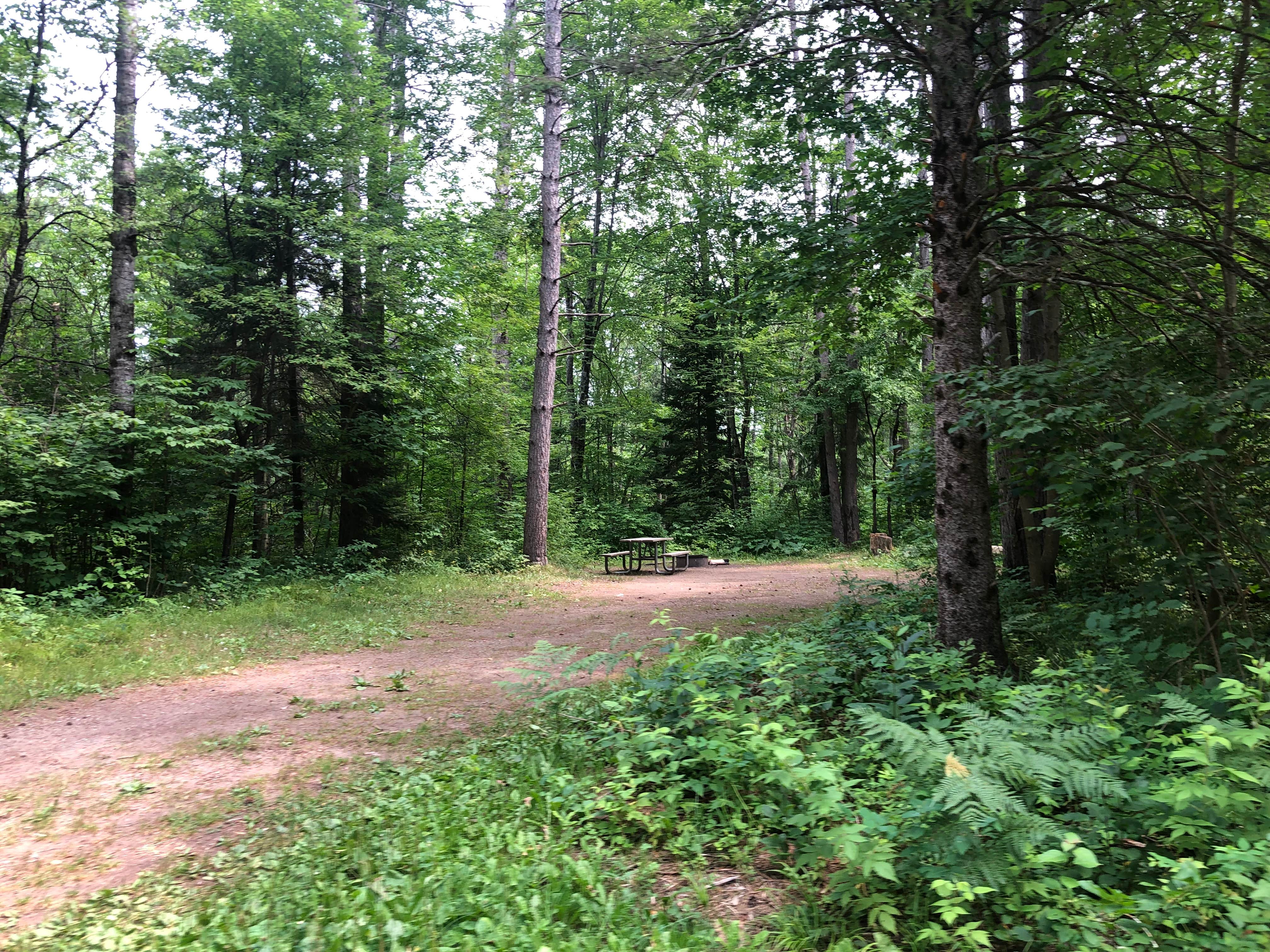Camper-submitted photo at Chipmunk Rapids near Crystal Falls, MI