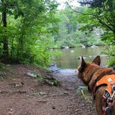 Review photo of Chipmunk Rapids by Art S., July 30, 2021