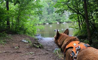 Art S.'s photo of camping with pets at Chipmunk Rapids near Crystal Falls, MI