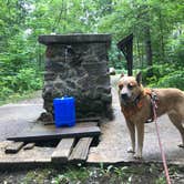 Review photo of Chipmunk Rapids by Art S., July 30, 2021